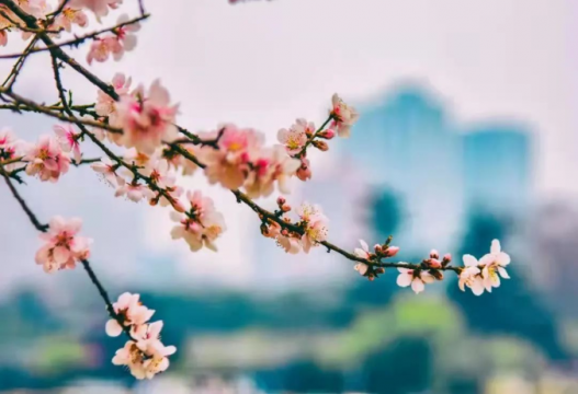 解放思想走在前 我来担当我来干