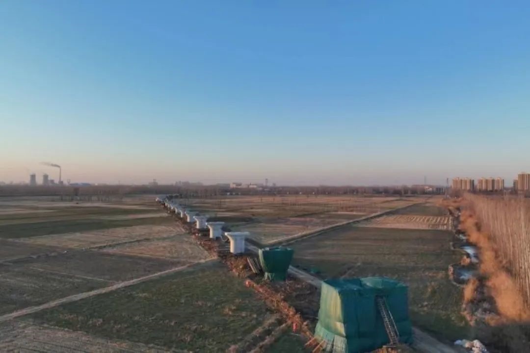 6404444.jpg