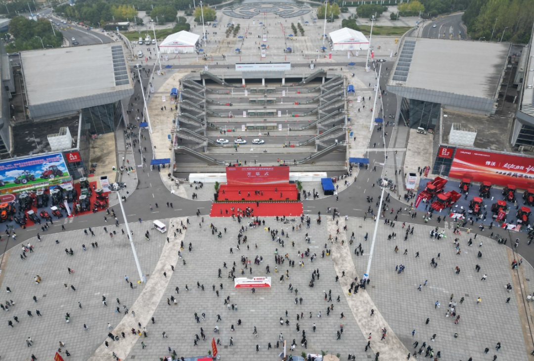 04.jpg