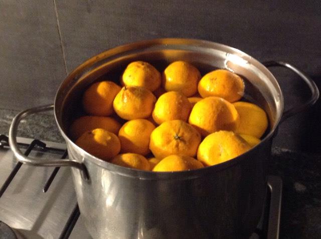 tangerins in the pot - mandarini nella pentola